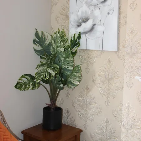 York Place Beautiful 5 Bedrooms Sleeps 9 Διαμέρισμα