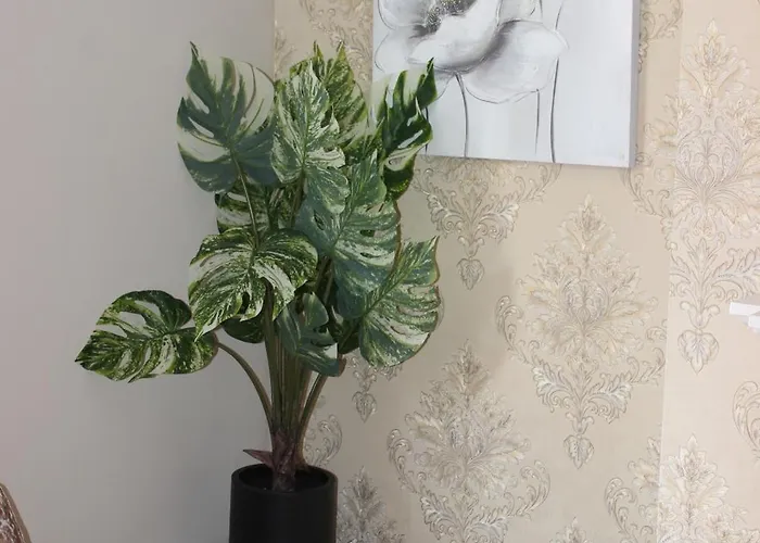 York Place Beautiful 5 Bedrooms Sleeps 9 アパート